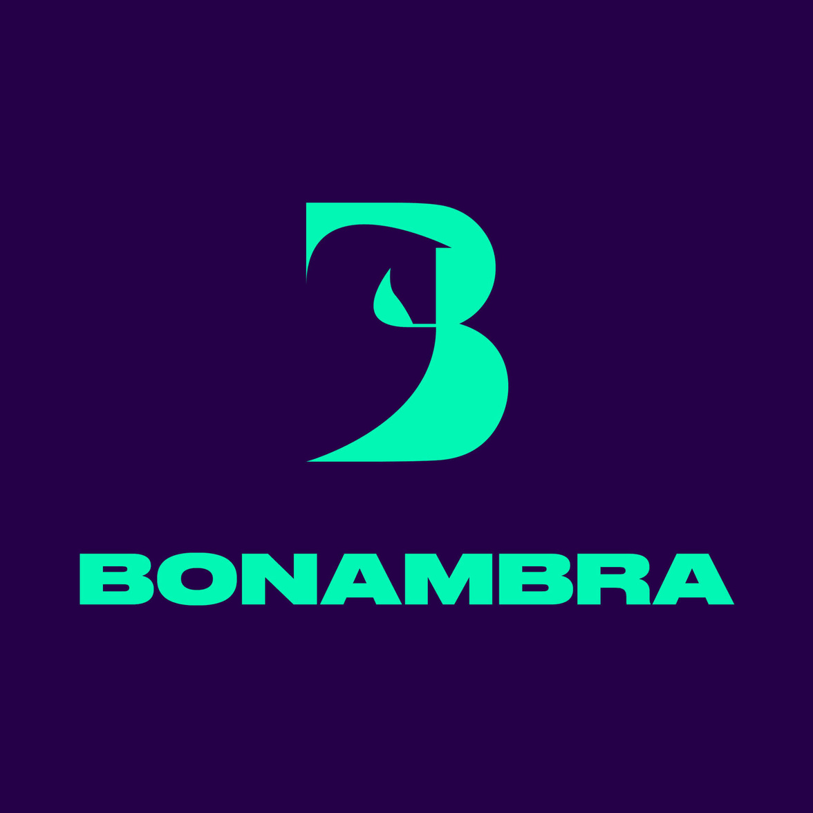Bonambra Consulting ~ branding