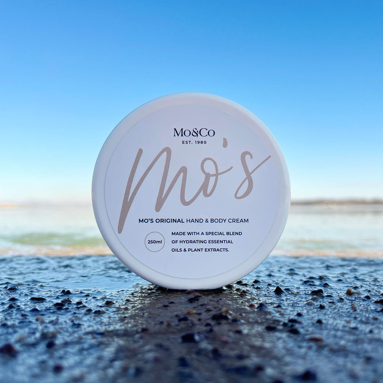 Mo&amp;Co ~ branding