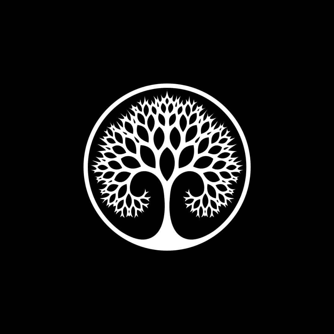 Equinox Experience